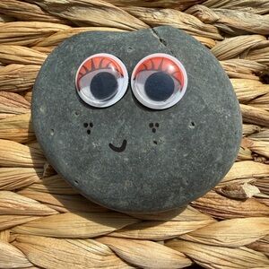 Googly-Eyed Decorative Rock — Grey with Orange Accents